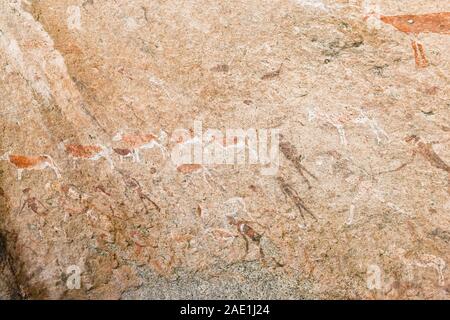 Ancient Sun's Rock Painting 'Maack's Shelter' at Tsisab Ravine in Mt Brandberg, Bushman rock art, Namib Desert, Namibia, Southern Africa, Africa Stock Photo