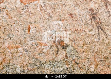 Ancient Sun's Rock Painting 'Maack's Shelter' at Tsisab Ravine in Mt Brandberg, Bushman rock art, Namib Desert, Namibia, Southern Africa, Africa Stock Photo