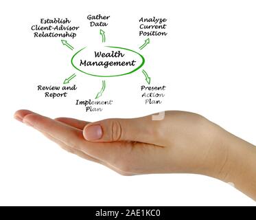 Components of Wealth Management Stock Photo