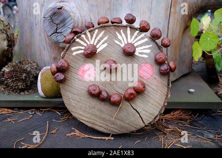 Smiling face made of chestnuts on a cut lug slice left as a decoration. Stock Photo