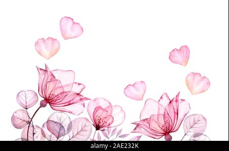 Watercolor floral background with roses and place for text. Transparent flowers with flying petals isolated in white. Botanical floral background for Stock Photo