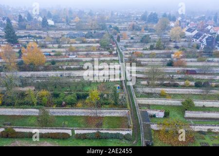 France, Seine et Marne, Thomery, remains of the walls for the production of Chasselas from Thomery (aerial view) // France, Seine-et-Marne (77), Thome Stock Photo