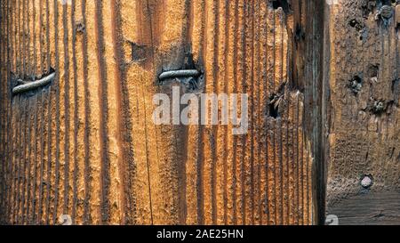 Abstract wooden antique background with nails, holes and cracks. Closeup of light brown texture of shabby holey natural planks. Rough striped surface. Stock Photo