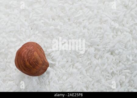 Hazelnut kernel on white coconut texture. Staple food. One peeled hazel nut on dry grated coco detail. Culinary background. Healthy baking and cooking. Stock Photo