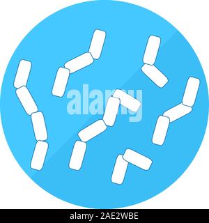 Bifidobacteria good microflora of intestine vector icon Stock Vector
