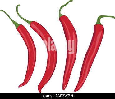 Red chilli peppers vector illustration on a white background Stock Vector