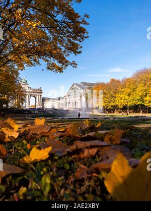 Sunny autumn day in Jubilee Park or Parc du Cinquantenaire, Brussels. Colorful leaves on the ground and the Triumphal Arch visible in the background. Stock Photo