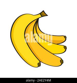 Cartoon banana fruits. Bunches of fresh bananas vector illus