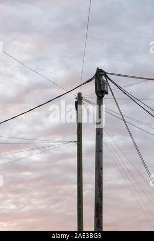 BT / Telephone cabling / telegraph pole - as visual metaphor for concept of 'distribution', rural broadband,  and 'end of the line'. Stock Photo