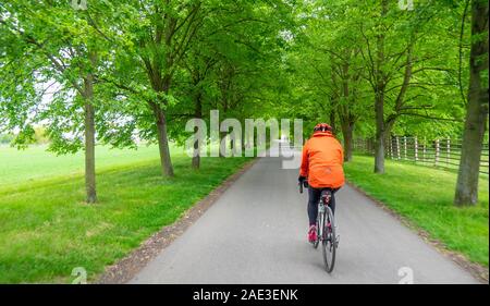 Touring cyclist riding bicycle along tree lined road in Vltava cycle router Eurovelo 7 route Veltrusy Central Bohemian Region Czech Republic. Stock Photo