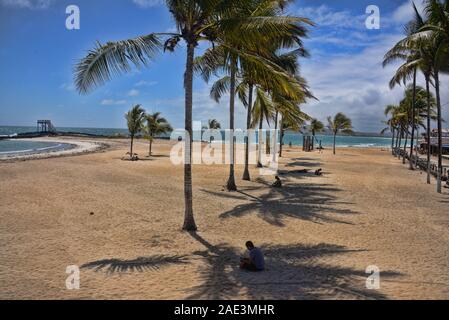 Life in paradise, Puerto Villamil Beach, Isla Isabela, Galapagos Islands, Ecuador Stock Photo