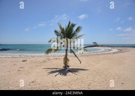 Life in paradise, Puerto Villamil Beach, Isla Isabela, Galapagos Islands, Ecuador Stock Photo