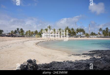 Life in paradise, Puerto Villamil Beach, Isla Isabela, Galapagos Islands, Ecuador Stock Photo