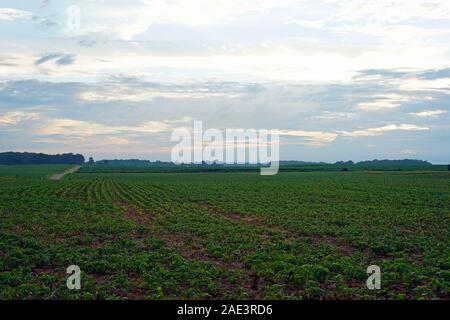 indiana farm feilds Stock Photo