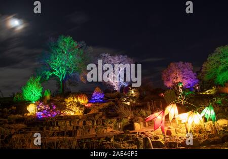 RHS Wisley, Surrey, UK. RHS Gardens Winter Glow 2019. 6th December 2019. Preview of enchanting trail with dazzling light installations themed around the four seasons – from spring daffodils along Jellicoe Canal to snowdrops on Seven Acres. A selection of Wisley’s best loved trees illuminated and a spectacular view of the iconic Laboratory all lit up during the festive season from 7 December 2019 - 5 January 2020. The ticketed event has sold out in advance for December. Credit: Malcolm Park/Alamy Live News. Stock Photo