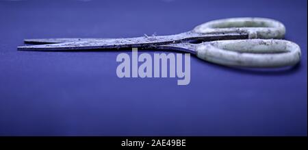 very old rusty scissors or metal scissors on blue backgrounds Stock Photo