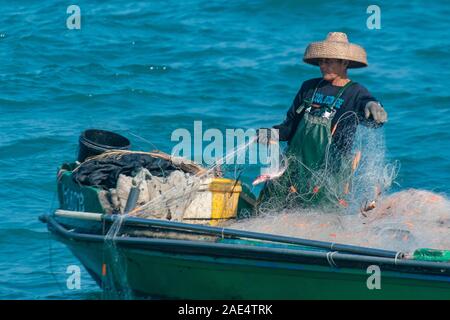 A commercial fisherman using nets on a very small fishing boat - Hong Kong Island's Aberdeen Harbour Stock Photo