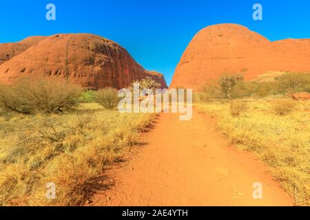 Sand footpath and bush vegetation in winter season of walk between two tallest domes of Walpa Gorge in Uluru-Kata Tjuta National Park, Northern Stock Photo