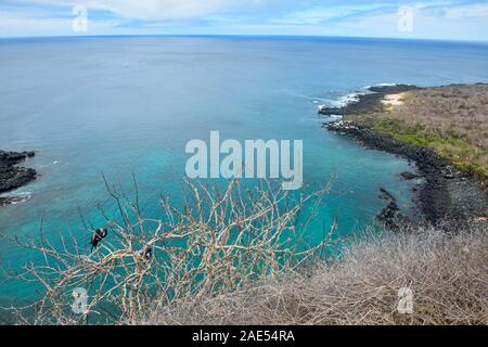 Beautiful Tijeretas Bay and frigatebirds, Isla San Cristobal, Galapagos Islands, Ecuador Stock Photo