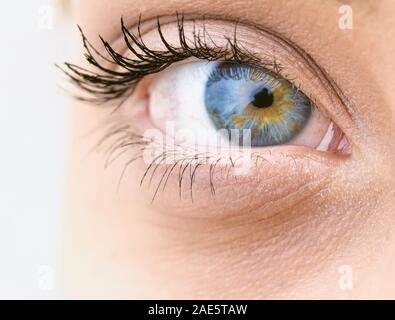 Macro photograph of a young woman's eye. Stock Photo