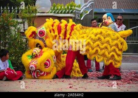 2 lions being playful during chinese new year lion dance house visit. Stock Photo