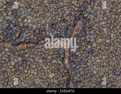 Closeup of a crack in a wet tarred road surface image for background use with copy space Stock Photo