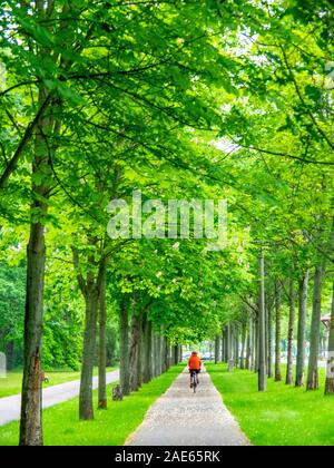 Touring cyclist riding bicycle on Elbe Cycle Route in Elbauenpark Magdeburg Saxony-Anhalt Germany Stock Photo