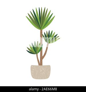 Yucca plant in pot, home tree. Vector illustration isolated on white background. Stock Vector