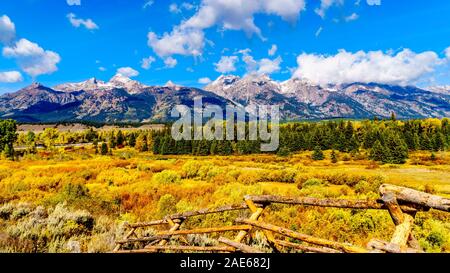 Fall Colors surrounding the Cloud covered Peaks of the Grand Tetons In Grand Tetons National Park. Seen from Black Ponds Overlook near Jackson Hole WY