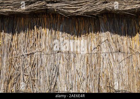 Texture from straw wall and roof on sunny day Stock Photo
