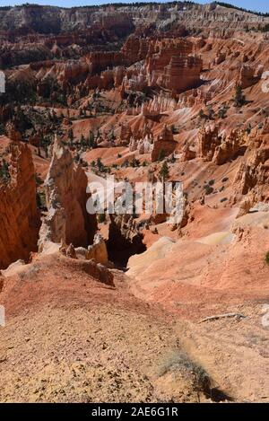 Hoodoos at the Bryce Canyon amphitheater; the result of millions of years of erosion.  Taken from the Queen's Garden trail. Stock Photo