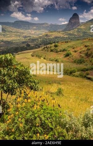Ethiopia, Amhara Region, Gazara, volcanic agricultural landscape beside A3 Bahir Dar to Gondar road Stock Photo