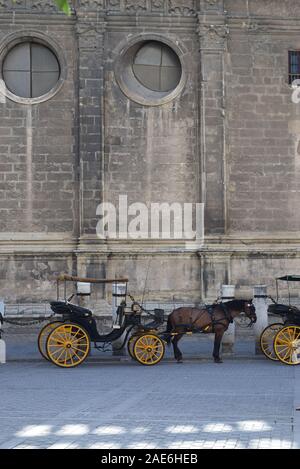 Cart Rinde Ending Horse-drawn carriages travel through Central Park in New York this ...