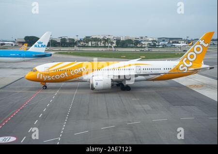 06.12.2019, Singapore, Republic of Singapore, Asia - A Scoot Airline Boeing 787-8 Dreamliner passenger plane at Changi Airport. Stock Photo