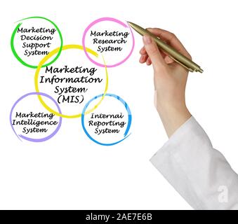 marketing information management