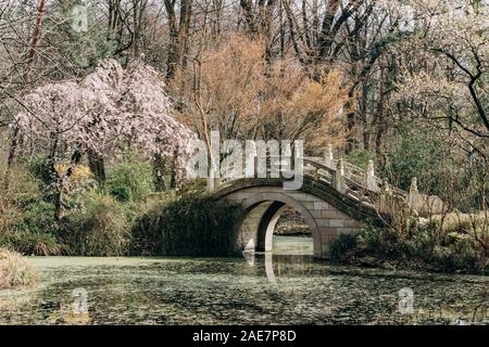 Beautiful view of the bridge with sculptures of Chinese lions Stock Photo