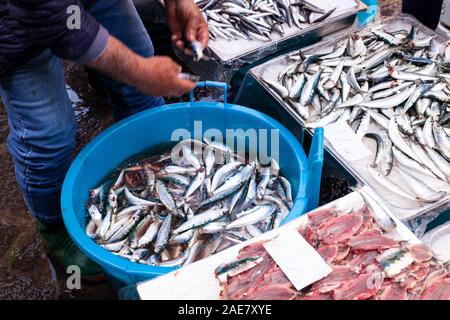 Salesman cleaning the sardines using a big bucket filled of water at the Catania street fish market 2019 Stock Photo