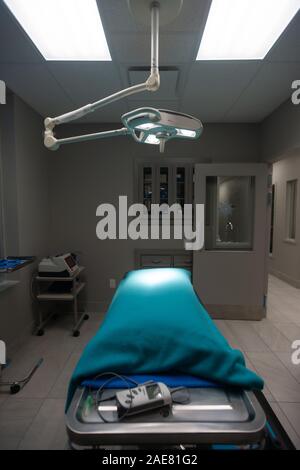 An operating room inside a veterinary clinic. Stock Photo
