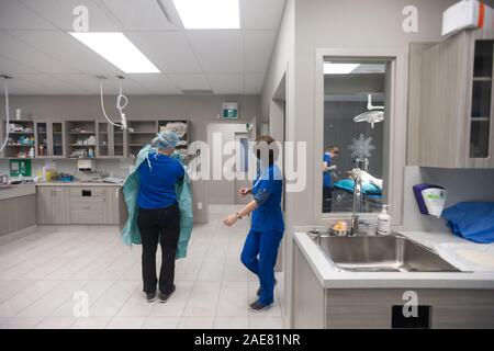 A veterinary surgeon goes through a thorough pre-surgery practice of scrubbing and then gowing up for surgery. Stock Photo