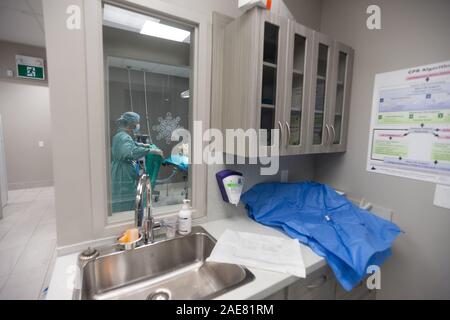 A veterinary surgeon goes through a thorough pre-surgery practice of scrubbing and then gowing up for surgery. Stock Photo