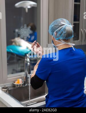 A veterinary surgeon goes through a thorough pre-surgery practice of scrubbing and then gowing up for surgery. Stock Photo