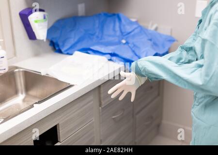 A veterinary surgeon goes through a thorough pre-surgery practice of scrubbing and then gowing up for surgery. Stock Photo