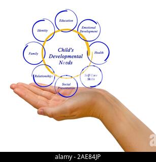 diagram of Child's Developmental Needs Stock Photo