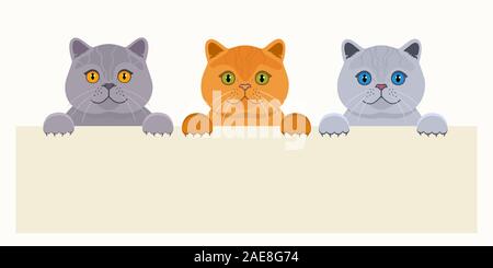 Tree cute british cats are behind the empty banner. Vector cartoon illustration Stock Vector
