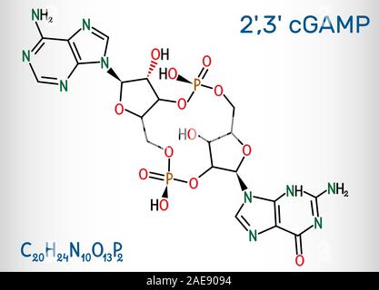 C-GMP-AMP, 2',3' cGAMP, cyclic guanosine monophosphate-adenosine monophosphate molecule. Structural chemical formula. Vector illustration Stock Vector