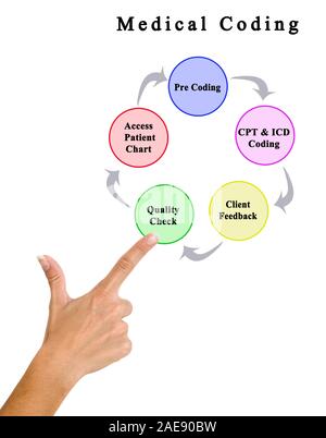 Five Components of Medical Coding Stock Photo