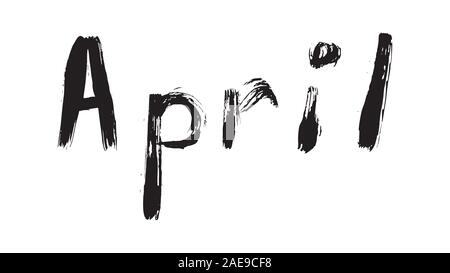 The names of the months drawn with a brush. Stock Vector