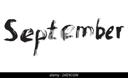 The names of the months drawn with a brush. Stock Vector