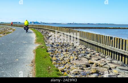 Two touring cyclists riding bicycles on the Elbe Cycling Route on a cyclepath along the Elbe River Cuxhaven Lower Saxony Germany. Stock Photo