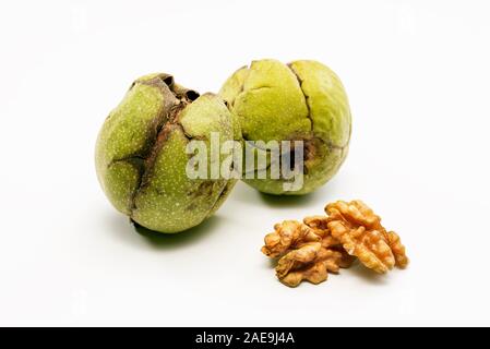 Close up shot of two raw wallnuts with green shell and two pieces of walnut near to them. Stock Photo